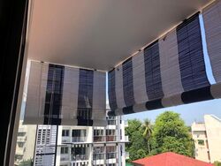 The Verandah Residences (D5), Apartment #607448941